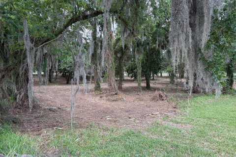 Land in Ocala, Florida № 2214171 - photo 5