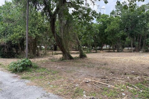 Land in Ocala, Florida № 2214171 - photo 4
