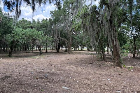 Land in Ocala, Florida № 2214171 - photo 2
