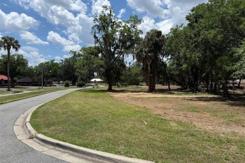 Land in Ocala, Florida № 2214171 - photo 9