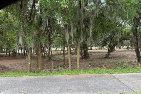 Land in Ocala, Florida № 2214171