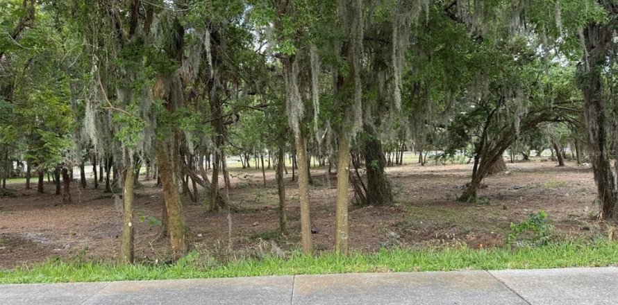 Land in Ocala, Florida № 2214171