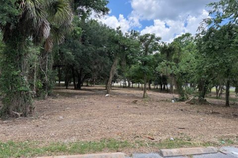 Land in Ocala, Florida № 2214171 - photo 6