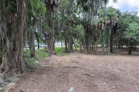 Land in Ocala, Florida № 2214171 - photo 7
