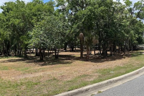 Land in Ocala, Florida № 2214171 - photo 10