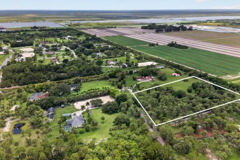 Commercial property in Loxahatchee Groves, Florida № 2169864 - photo 5