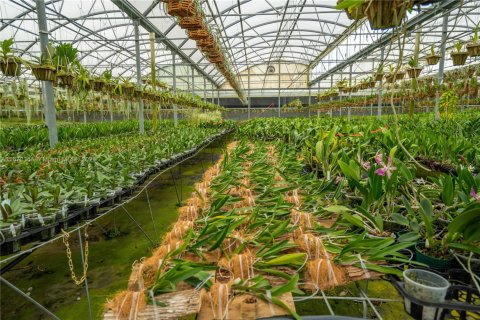 Commercial property in Homestead, Florida № 1981330 - photo 4