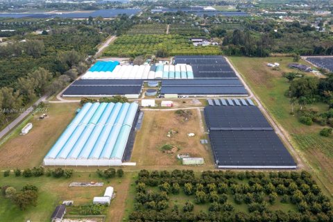 Commercial property in Homestead, Florida № 1981330 - photo 1