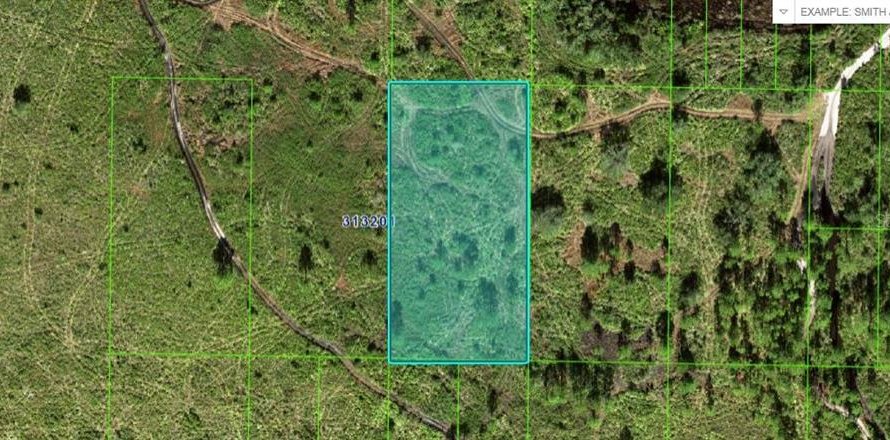 Terrain à Frostproof, Floride № 2164023