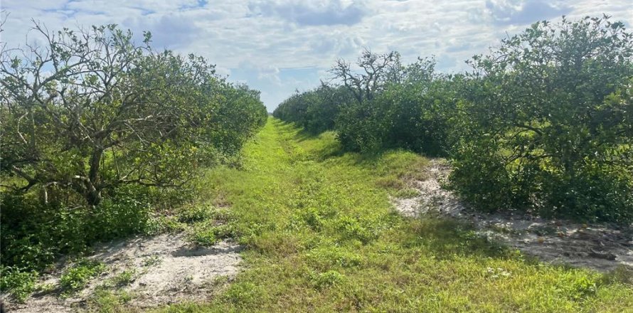 Land in Arcadia, Florida № 2142579