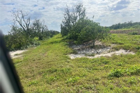Land in Arcadia, Florida № 2142579 - photo 2