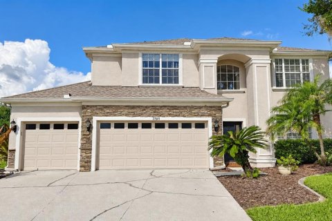 Casa en Wesley Chapel, Florida 5 dormitorios, 267.47 m2 № 2384080