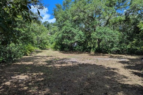 Land in Webster, Florida № 1841757 - photo 29