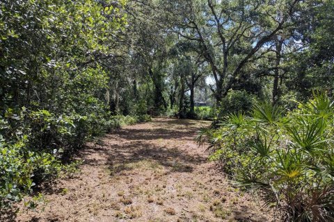 Land in Webster, Florida № 1841757 - photo 6