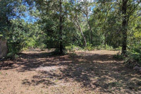 Land in Webster, Florida № 1841757 - photo 16