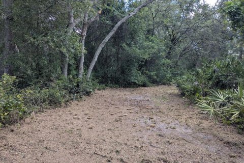 Land in Webster, Florida № 1841757 - photo 30