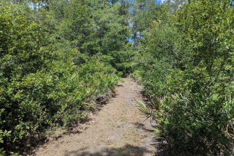 Land in Webster, Florida № 1841757 - photo 11