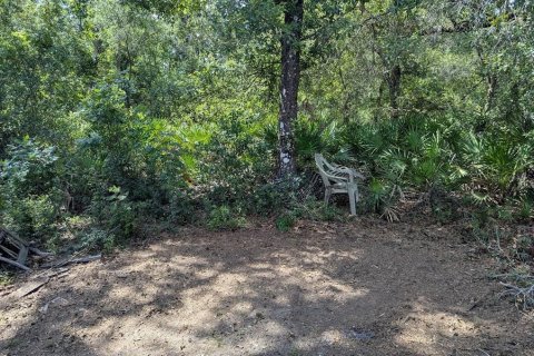Land in Webster, Florida № 1841757 - photo 13