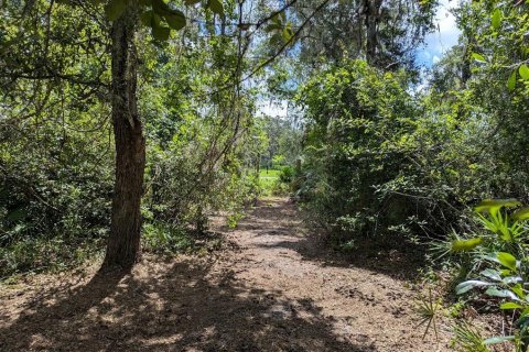 Land in Webster, Florida № 1841757 - photo 26