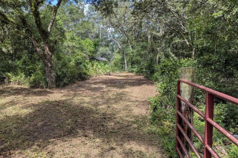 Land in Webster, Florida № 1841757 - photo 5
