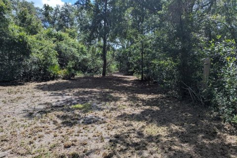Land in Webster, Florida № 1841757 - photo 25
