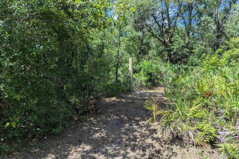Land in Webster, Florida № 1841757 - photo 17