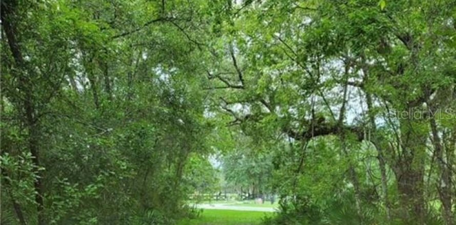 Land in Webster, Florida № 1841757