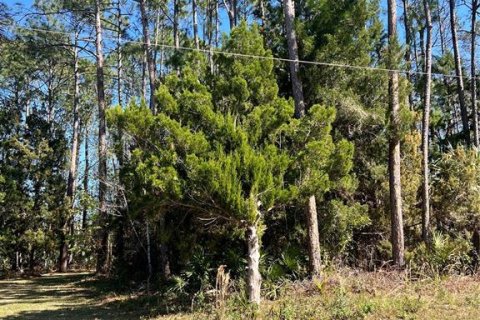 Terreno en venta en Palm Coast, Florida № 1514402 - foto 8