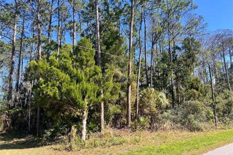 Terreno en venta en Palm Coast, Florida № 1514402 - foto 1
