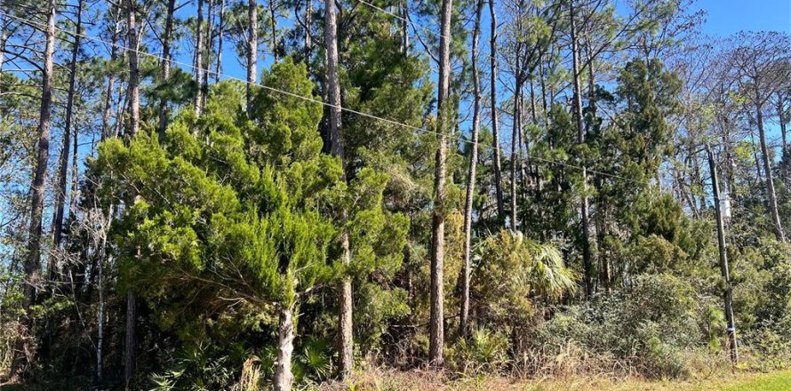 Terreno en Palm Coast, Florida № 1514402