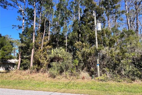 Terreno en venta en Palm Coast, Florida № 1514402 - foto 3
