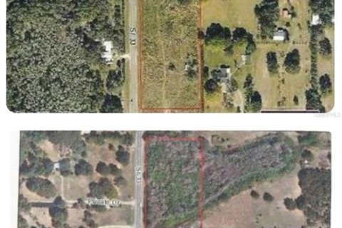 Land in Clermont, Florida № 1833666 - photo 1