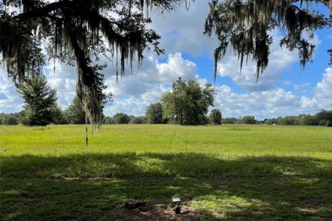 Land in Ocala, Florida № 1853906 - photo 5