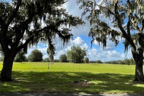 Land in Ocala, Florida № 1853906 - photo 2