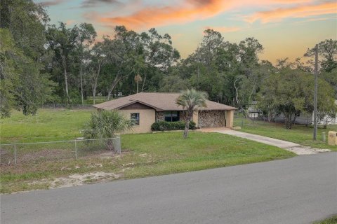 Immobilier commercial à vendre à Inverness, Floride: 141.21 m2 № 1755242 - photo 23