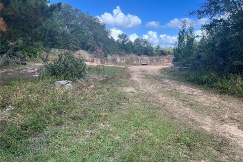Propiedad comercial en venta en Keystone Heights, Florida № 1425252 - foto 10