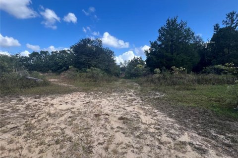 Commercial property in Keystone Heights, Florida № 1425252 - photo 7