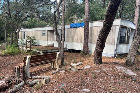 Propiedad comercial en venta en Keystone Heights, Florida № 1425252 - foto 15