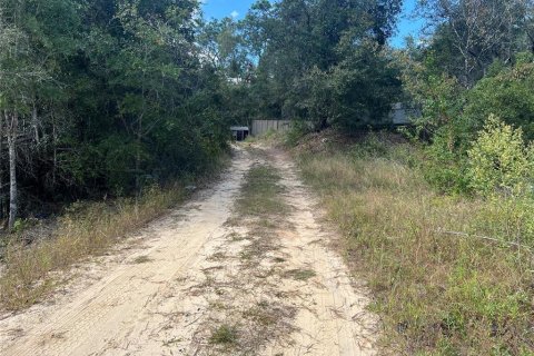 Commercial property in Keystone Heights, Florida № 1425252 - photo 11