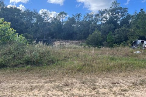 Commercial property in Keystone Heights, Florida № 1425252 - photo 9