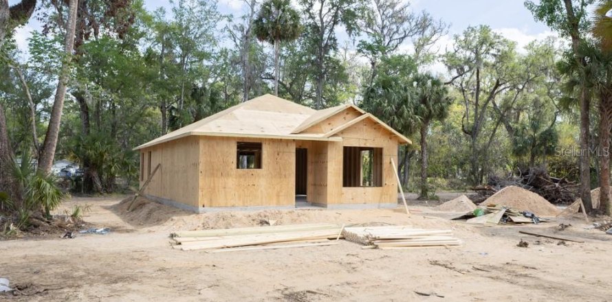 House in Lake Panasoffkee, Florida 3 bedrooms, 97.55 sq.m. № 1609561