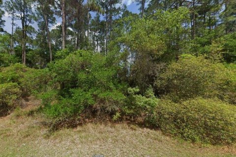 Land in Georgetown, Florida № 2160512 - photo 6