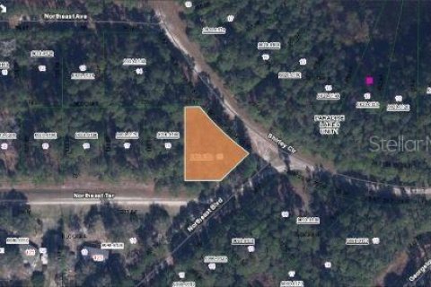 Land in Georgetown, Florida № 2160512 - photo 2