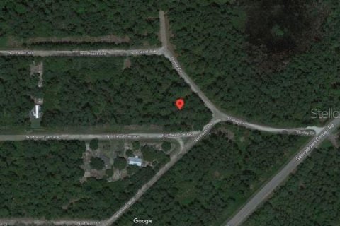 Land in Georgetown, Florida № 2160512 - photo 4