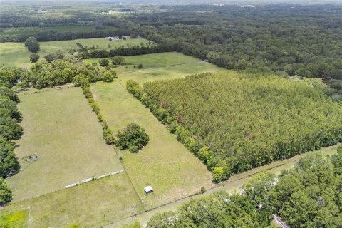 Casa en venta en Alachua, Florida, 3 dormitorios, 141.4 m2 № 1513917 - foto 12