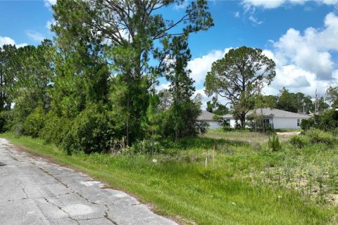 Land in Kissimmee, Florida № 1876968 - photo 1