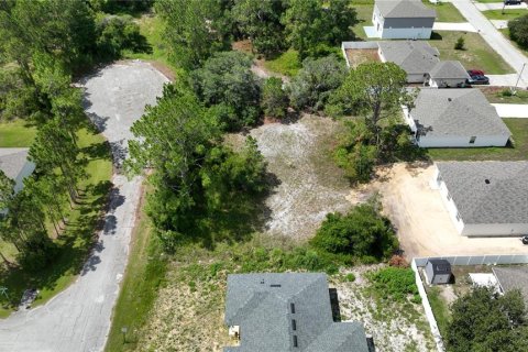 Land in Kissimmee, Florida № 1876968 - photo 5