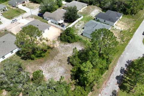 Land in Kissimmee, Florida № 1876968 - photo 2