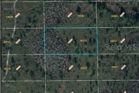 Land in Orlando, Florida № 2163560 - photo 5