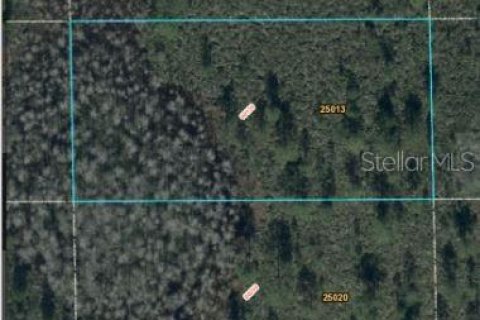 Land in Orlando, Florida № 2163560 - photo 2